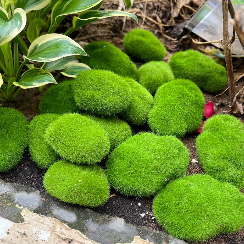5/30pcs Simulation Moss Stone  – Bonsai Rock Garden recenzja i cena
