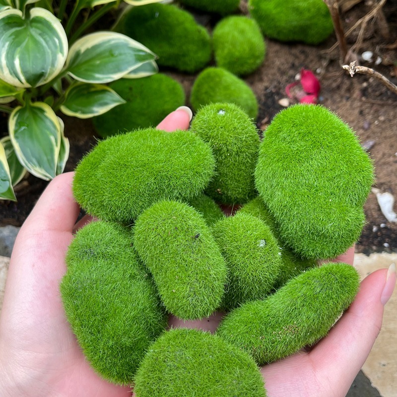 5/30pcs Simulation Moss Stone  – Bonsai Rock Garden recenzja i cena