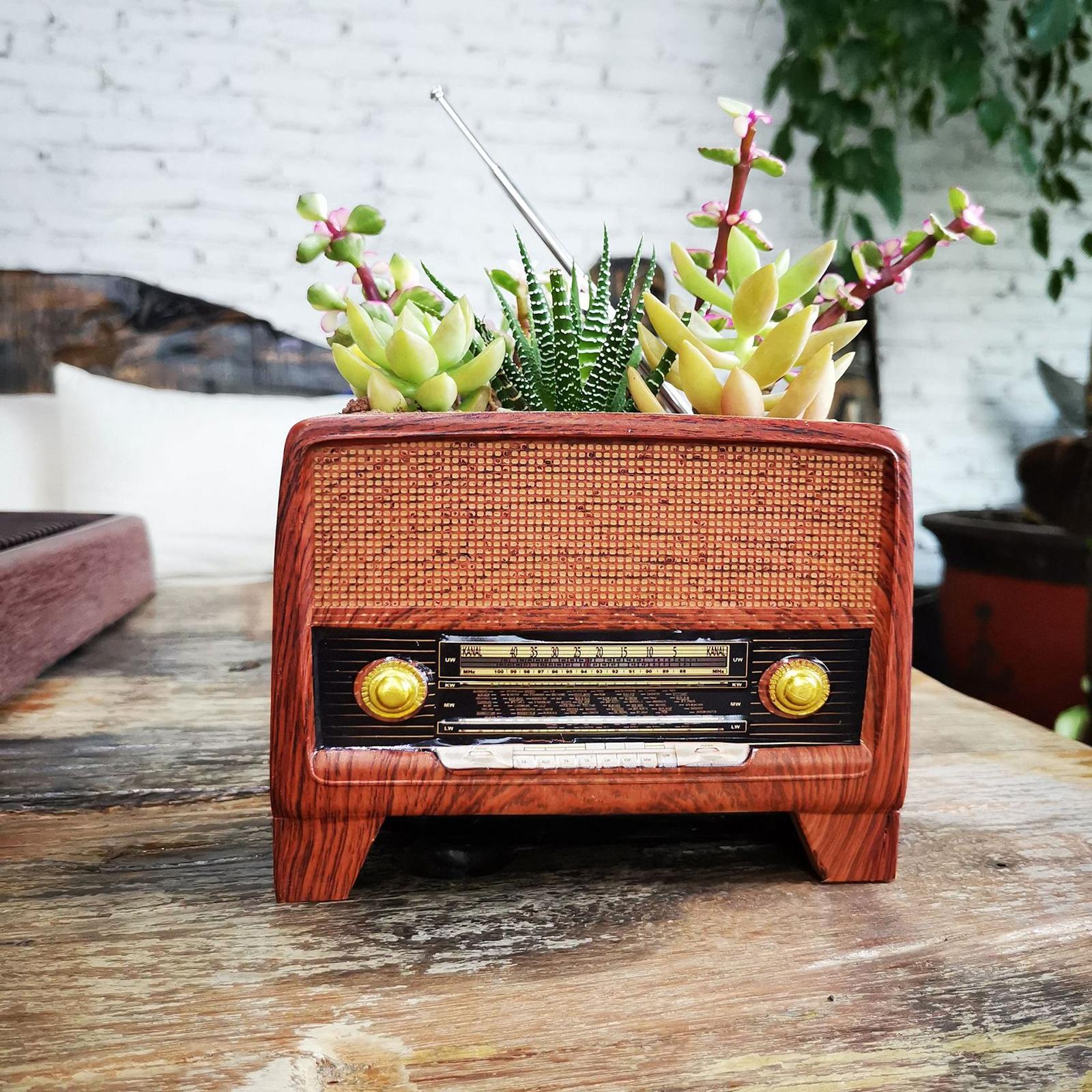 Resin Pot Radio Shape Supplies – Bonsai Garden Cafe recenzja i cena