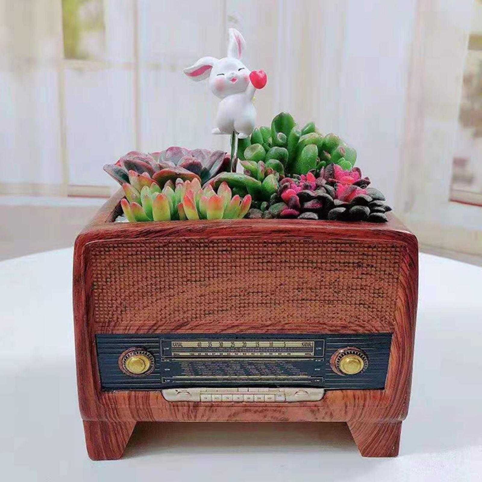 Resin Pot Radio Shape Supplies – Bonsai Garden Cafe recenzja i cena
