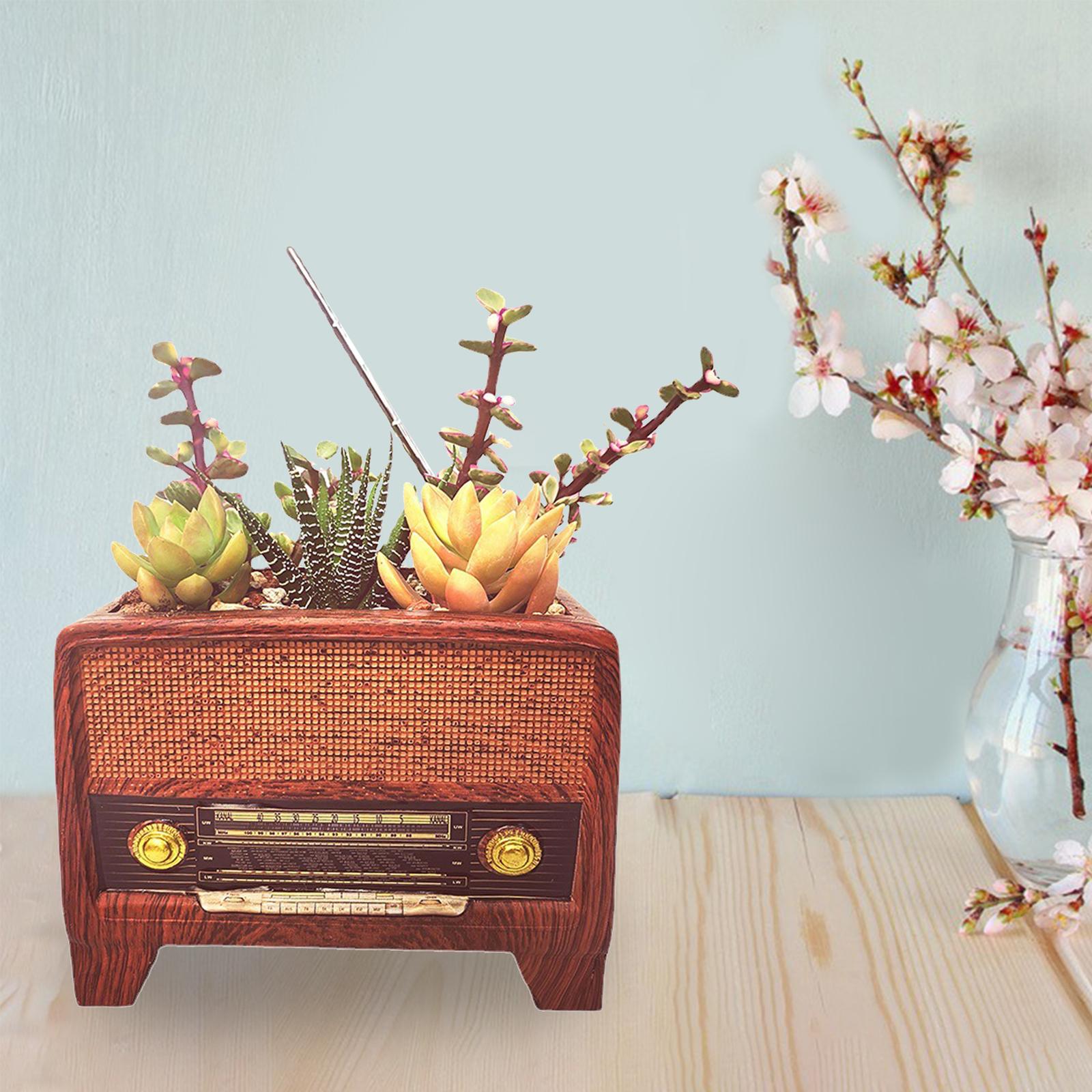 Resin Pot Radio Shape Supplies – Bonsai Garden Cafe recenzja i cena