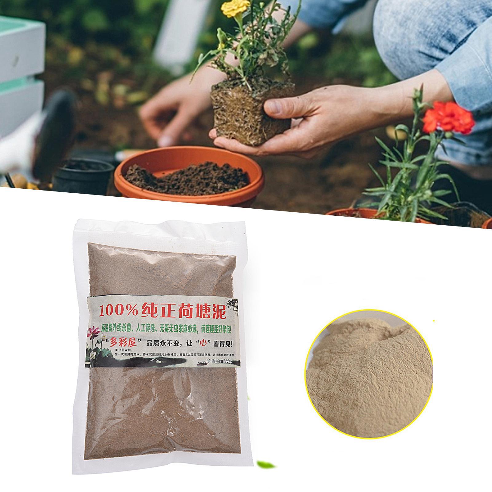 Natural Lotus Pond Mud Garden  – Bonsai Garden With Pond recenzja i cena