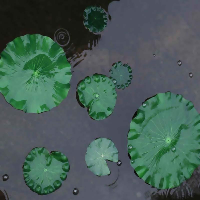 2026 Artificial Water Lily Lot – Bonsai Garden With Pond recenzja i cena