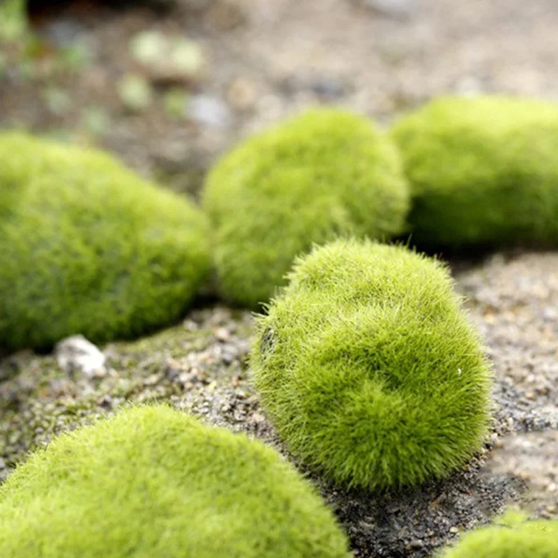 Fake Stone Artificial Moss Roc – Bonsai Rock Garden recenzja i cena