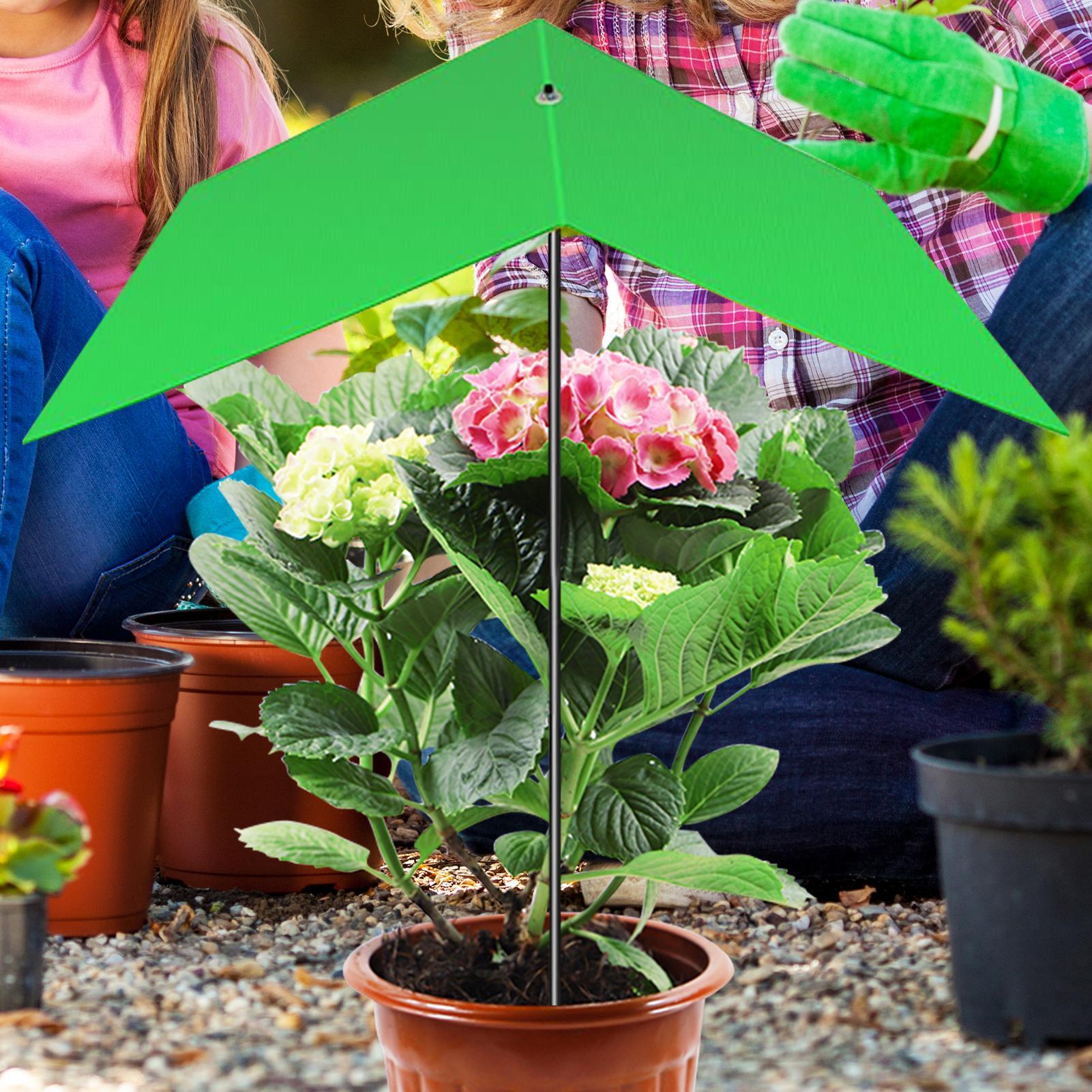 Plant Umbrella Anti-UV Heat Re – Bonsai Garden Cafe recenzja i cena