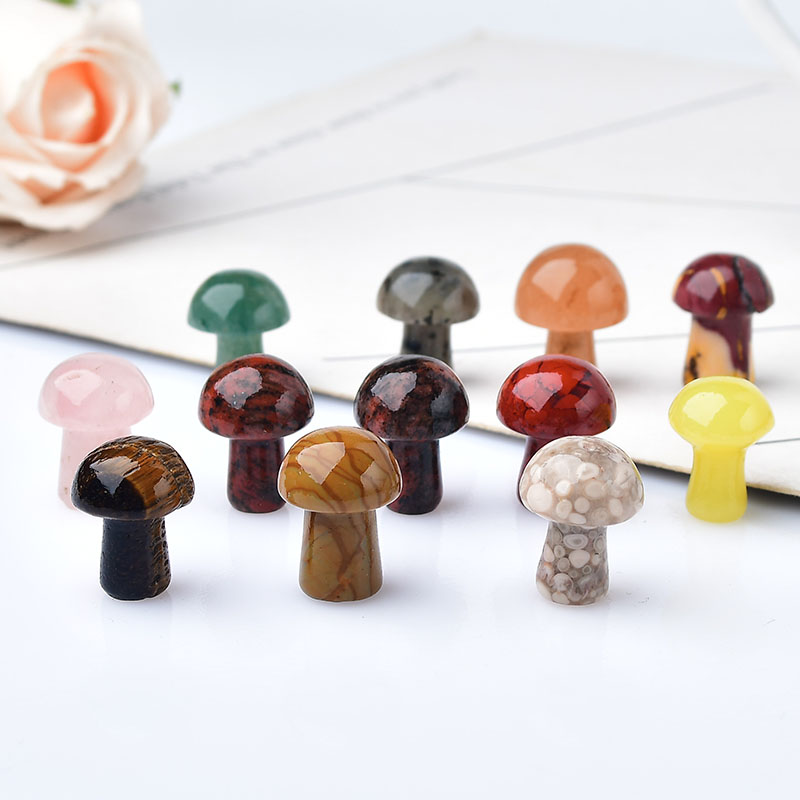 10Pcs Natural Crystal Mini Mus – Bonsai Rock Garden recenzja i cena
