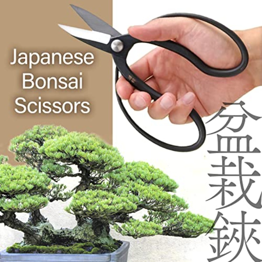 Japanese Suiryu Bonsai Scissor – Bonsai Garden Japan recenzja i cena