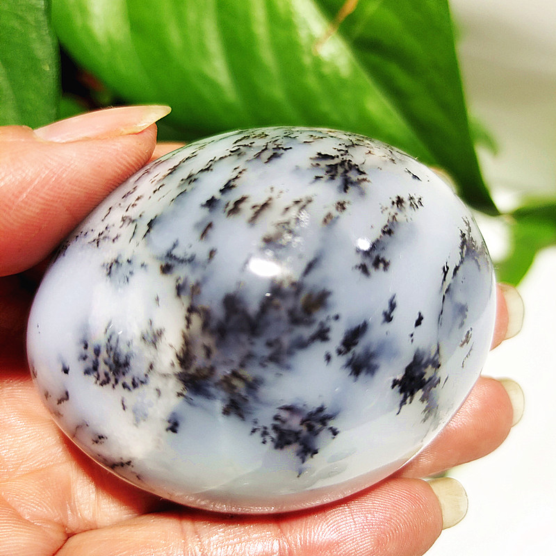 Natural Crystal Dendritic Opal – Bonsai Rock Garden recenzja i cena