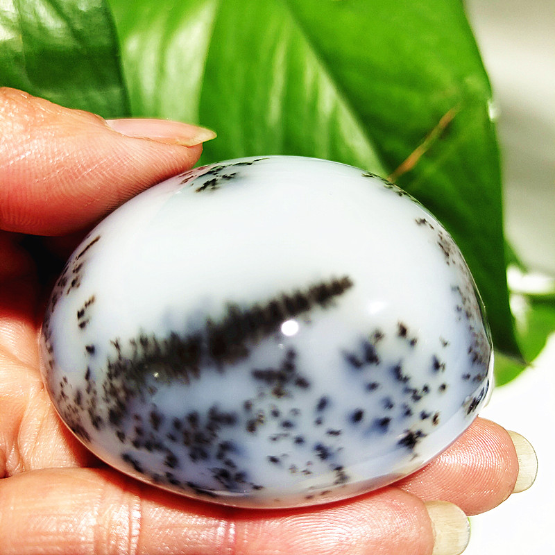 Natural Crystal Dendritic Opal – Bonsai Rock Garden recenzja i cena