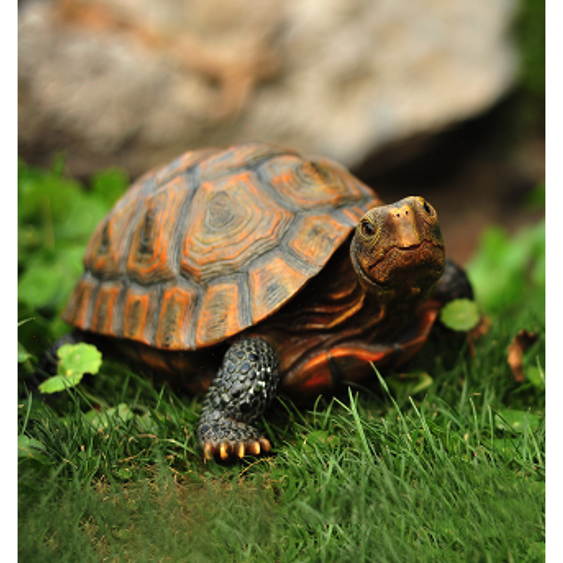 Cute Resin Tortoise Statue Out – Bonsai Garden With Pond recenzja i cena