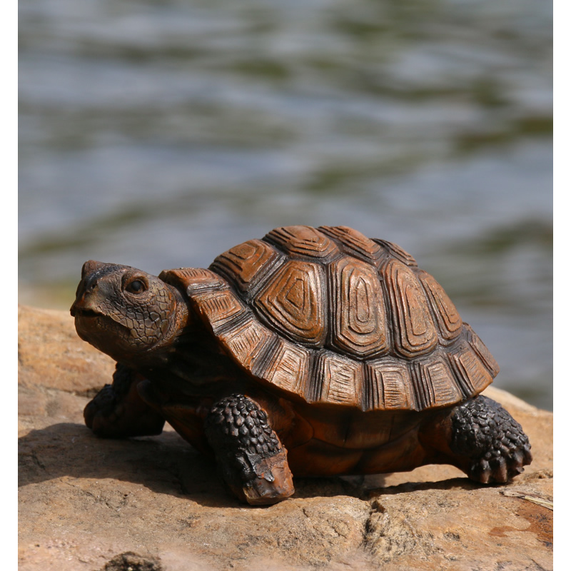 Cute Resin Tortoise Statue Out – Bonsai Garden With Pond recenzja i cena
