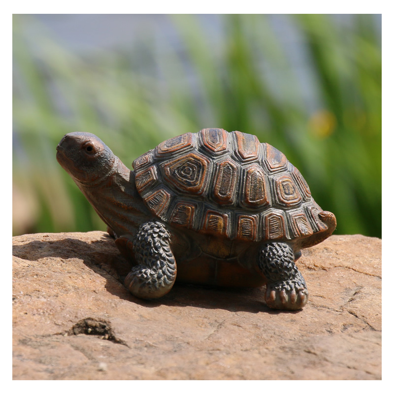 Cute Resin Tortoise Statue Out – Bonsai Garden With Pond recenzja i cena
