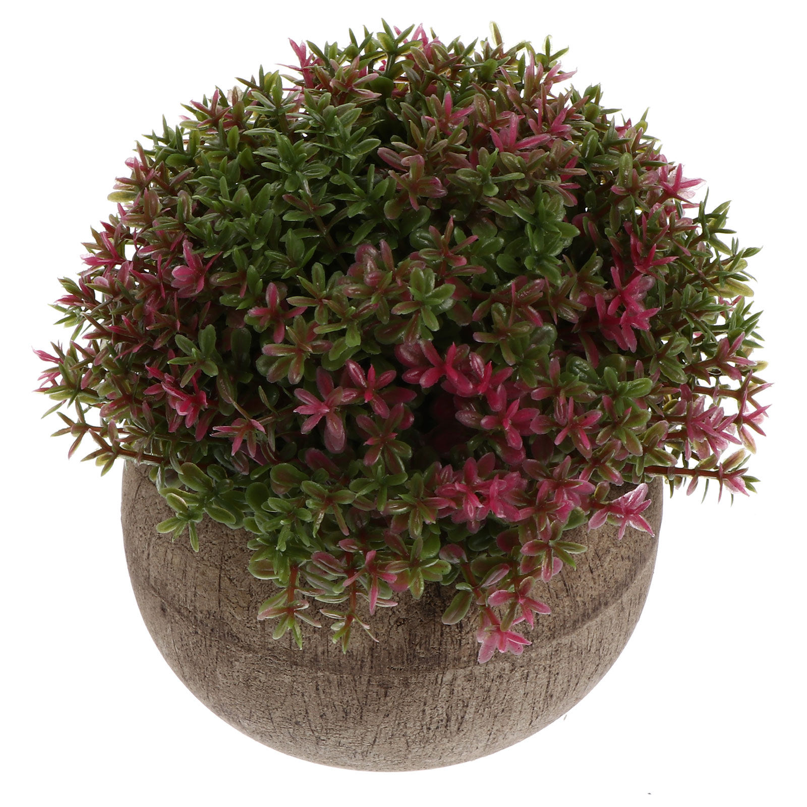 Mini Plastic Bonsai Realistic  – Bonsai Garden Cafe recenzja i cena