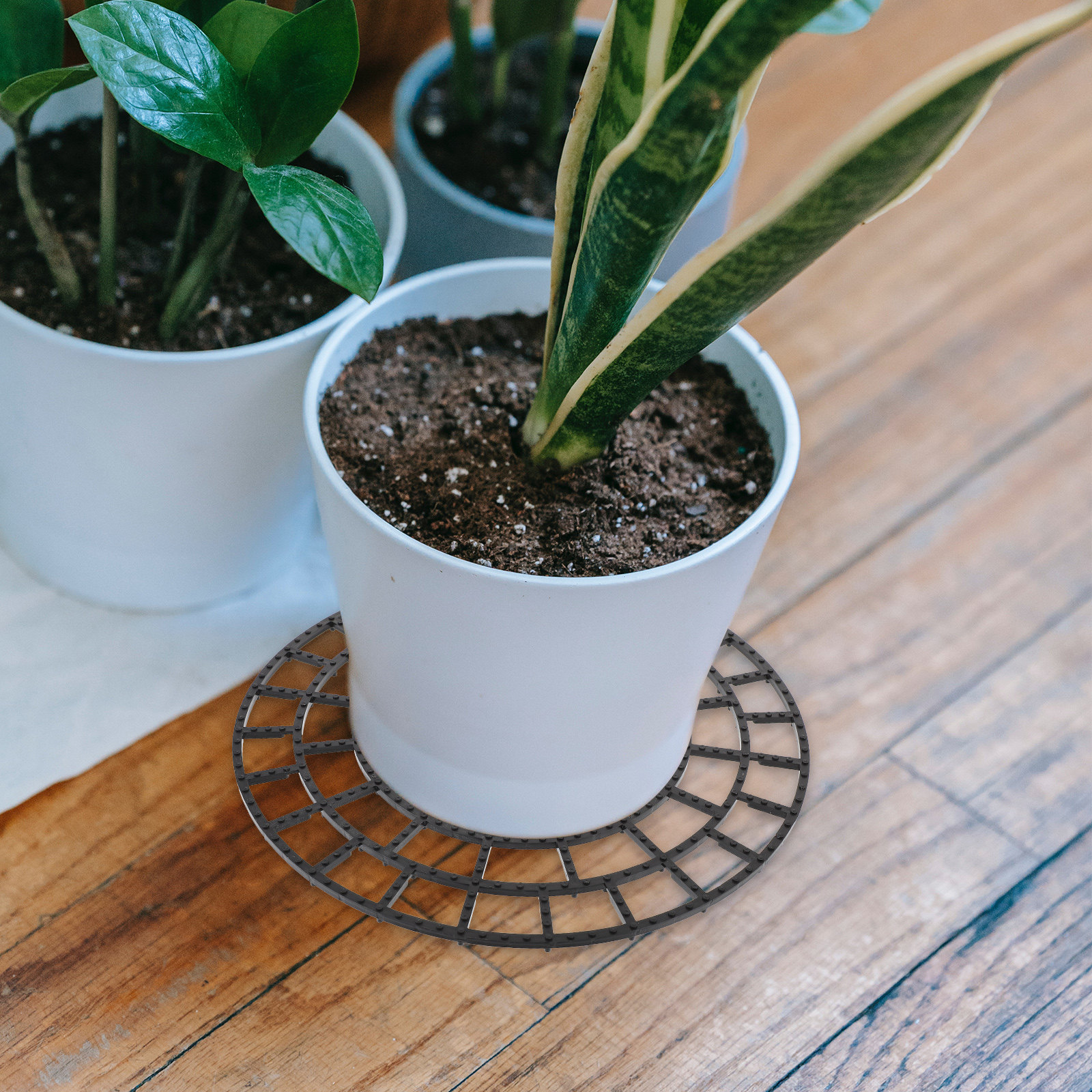 6Pcs Flowerpot Bottom Pad Brea – Bonsai Garden Cafe recenzja i cena